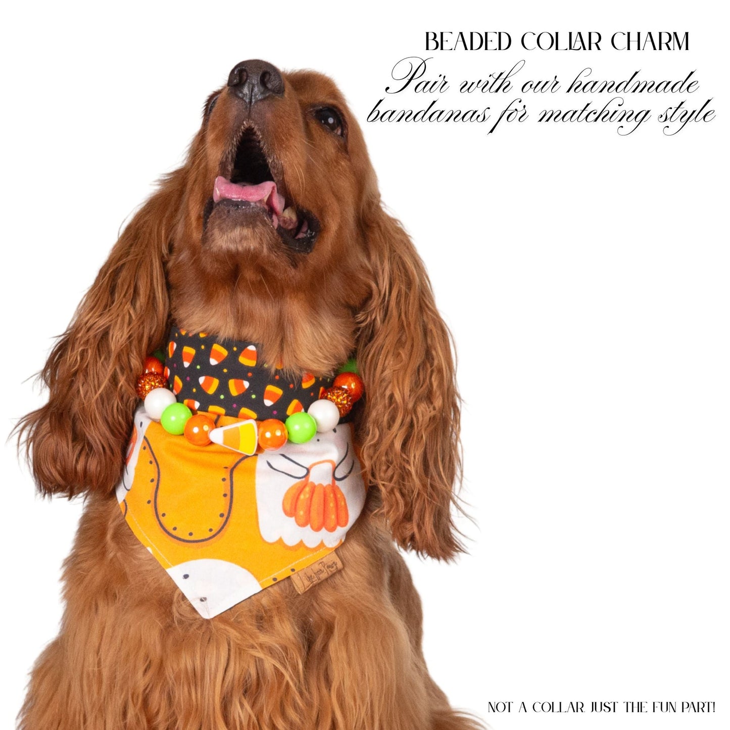 beaded dog necklace Candy Corn Charm by Life for Pawz – Handmade for pets
