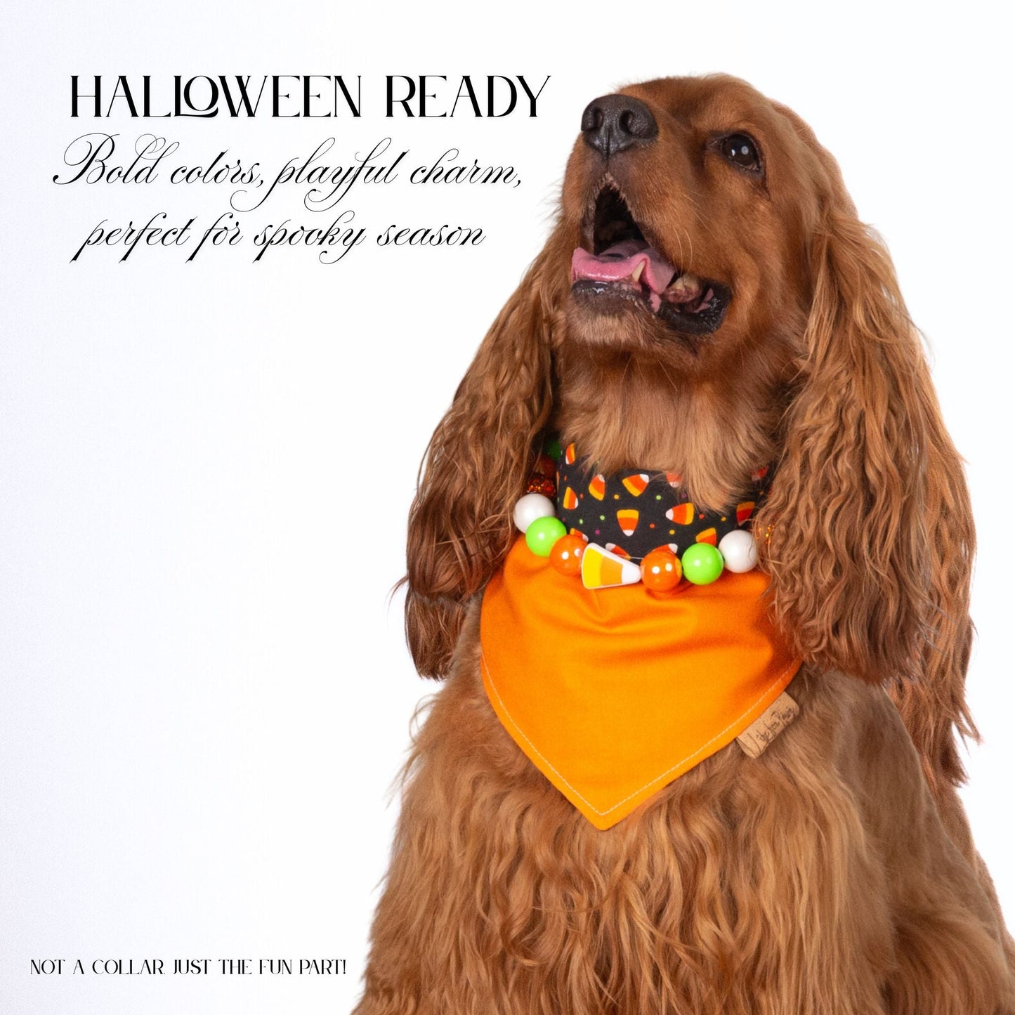 beaded dog necklace Candy Corn Charm by Life for Pawz – Handmade for pets
