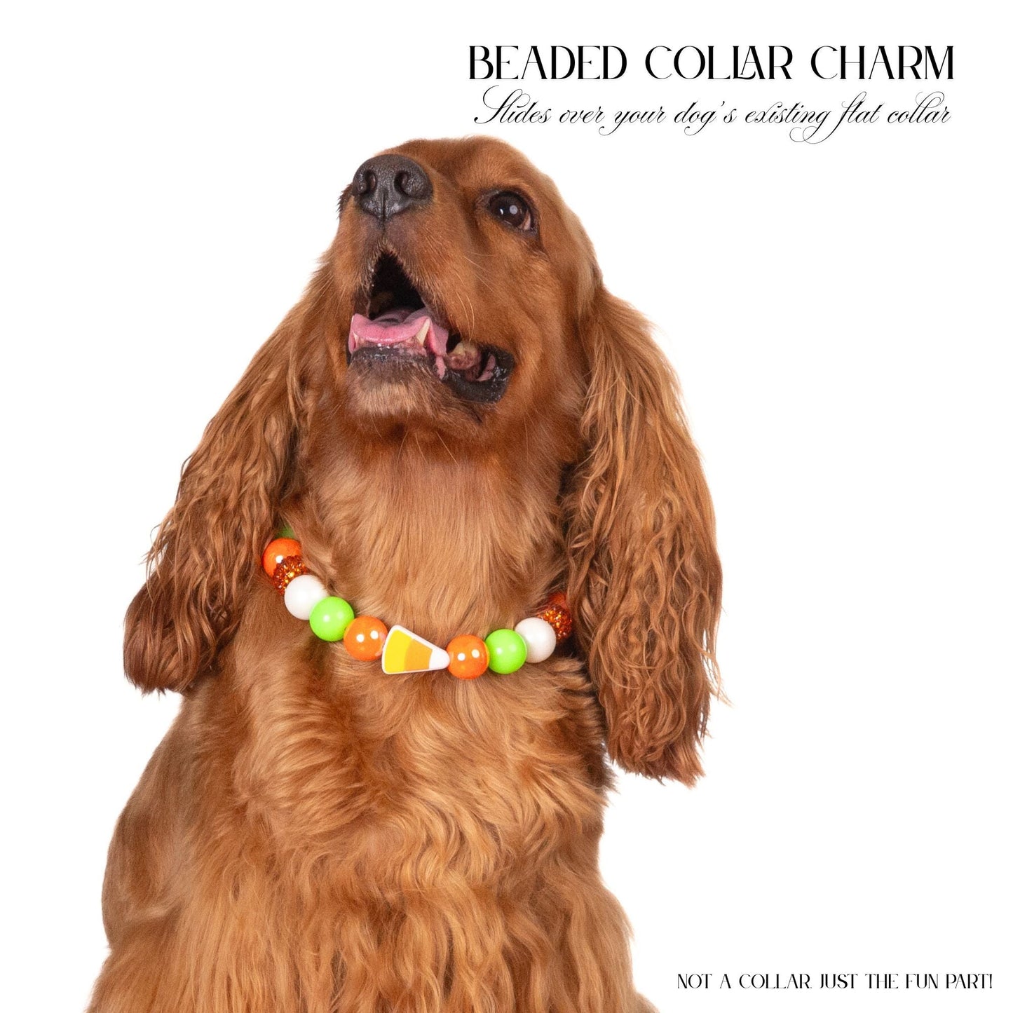 beaded dog necklace Candy Corn Charm by Life for Pawz – Handmade for pets
