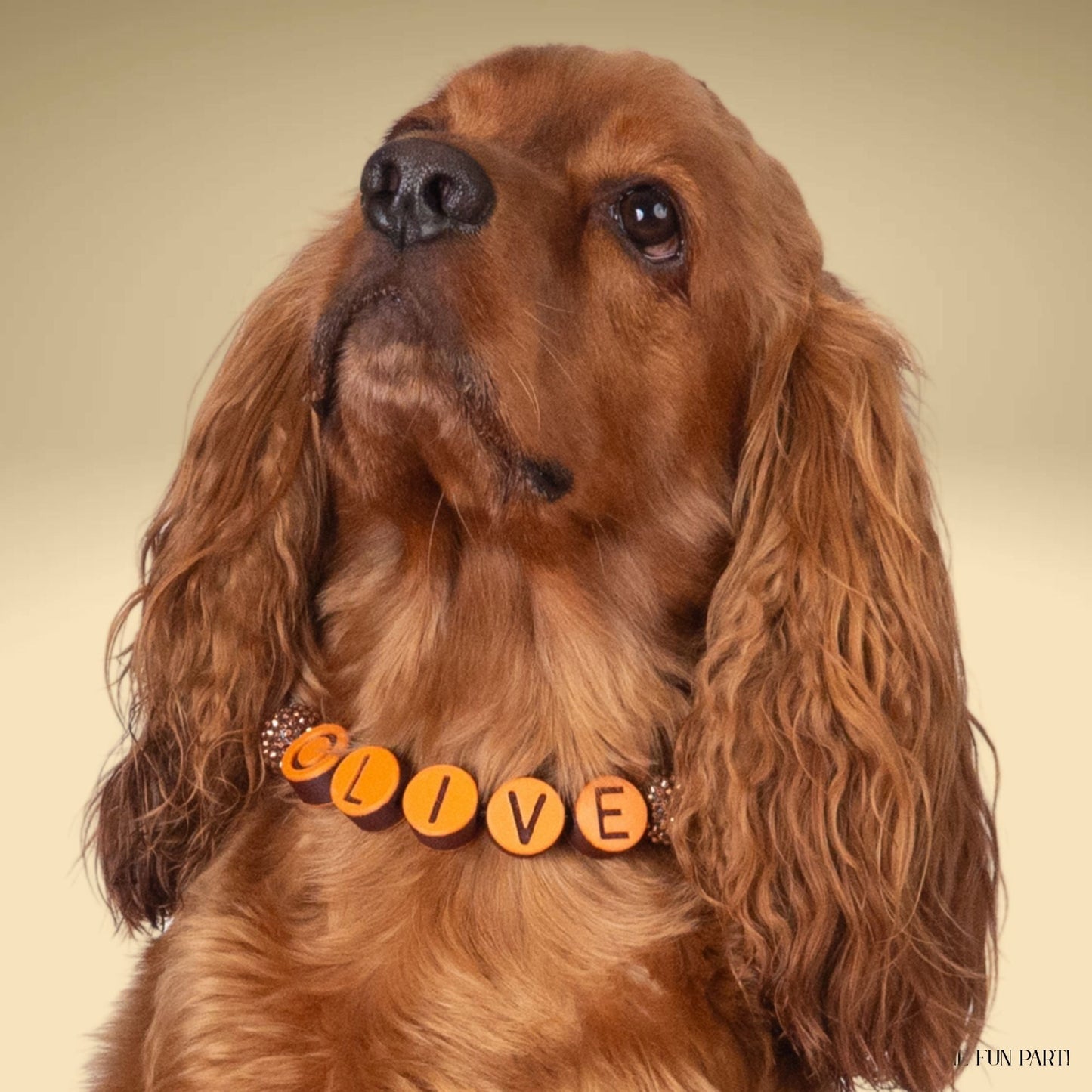 beaded dog necklace Dog Beaded Collar Charm by Life for Pawz – Handmade for pets