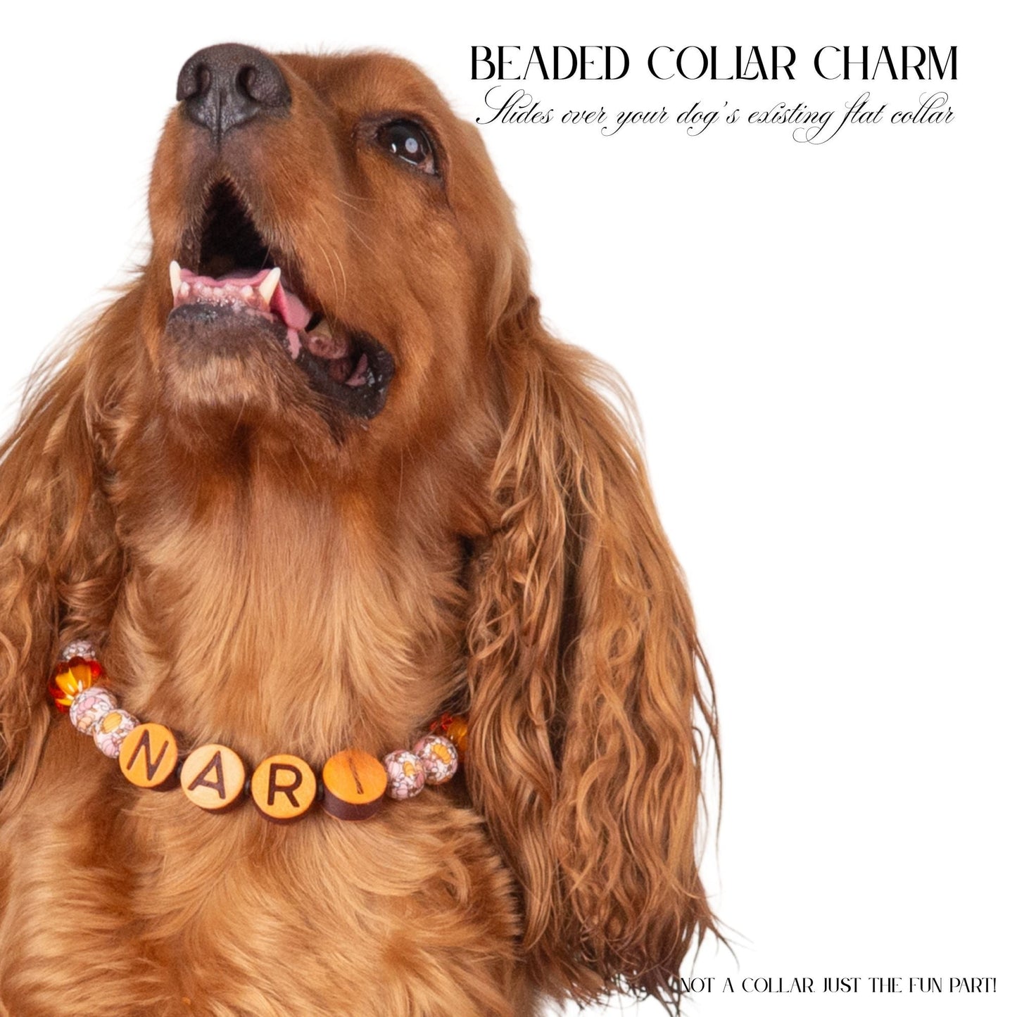 beaded dog necklace Fall Dog Beaded Collar Charm by Life for Pawz – Handmade for pets