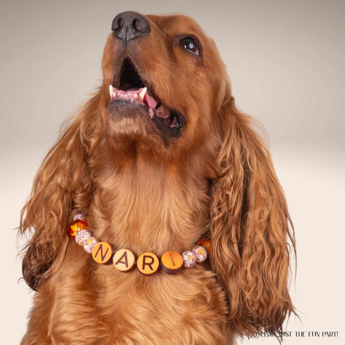 beaded dog necklace Fall Dog Beaded Collar Charm by Life for Pawz – Handmade for pets