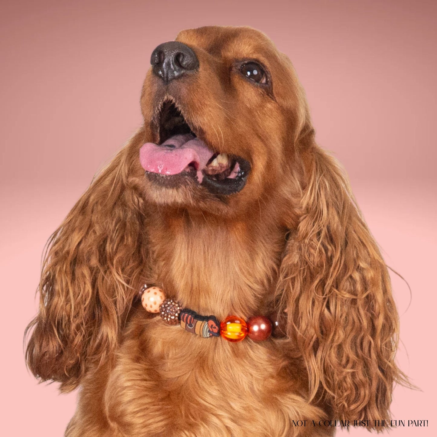 beaded dog necklace Fall Football Charm by Life for Pawz – Handmade for pets
