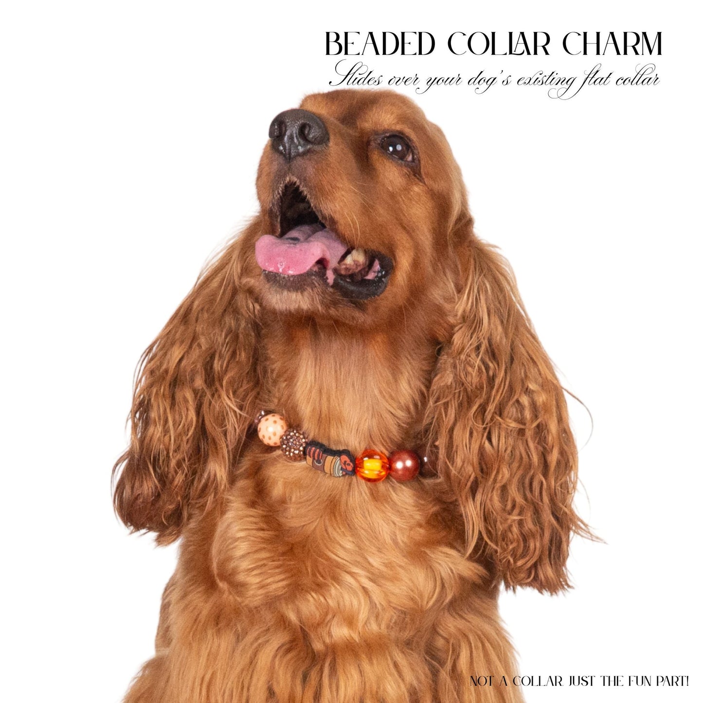 beaded dog necklace Fall Football Charm by Life for Pawz – Handmade for pets