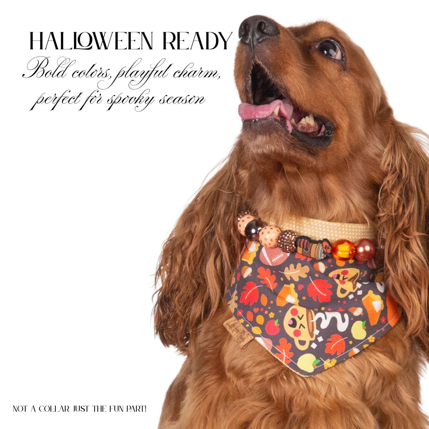 beaded dog necklace Fall Football Charm by Life for Pawz – Handmade for pets
