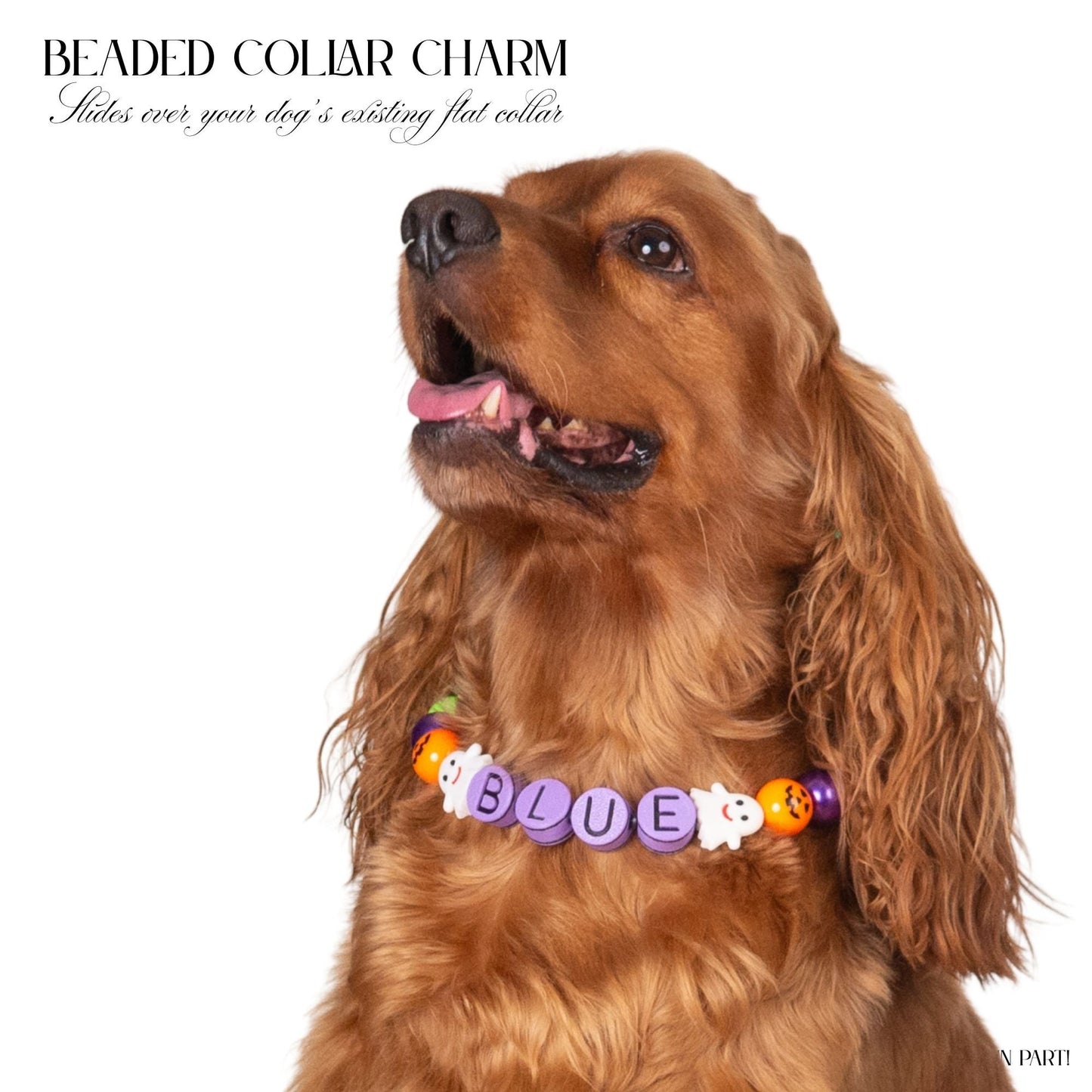 beaded dog necklace Halloween Dog Beaded Collar Charm by Life for Pawz – Handmade for pets