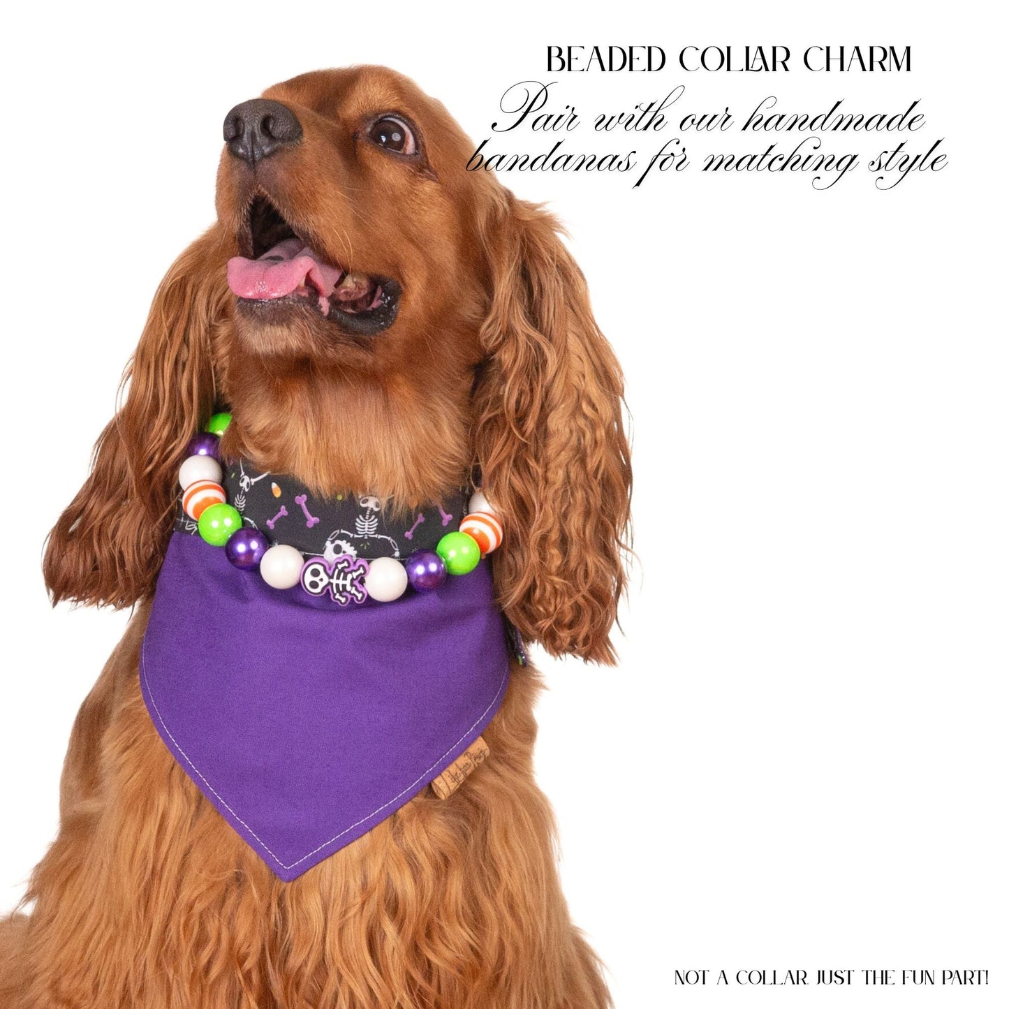 beaded dog necklace Halloween Skeleton Beaded Charm by Life for Pawz – Handmade for pets