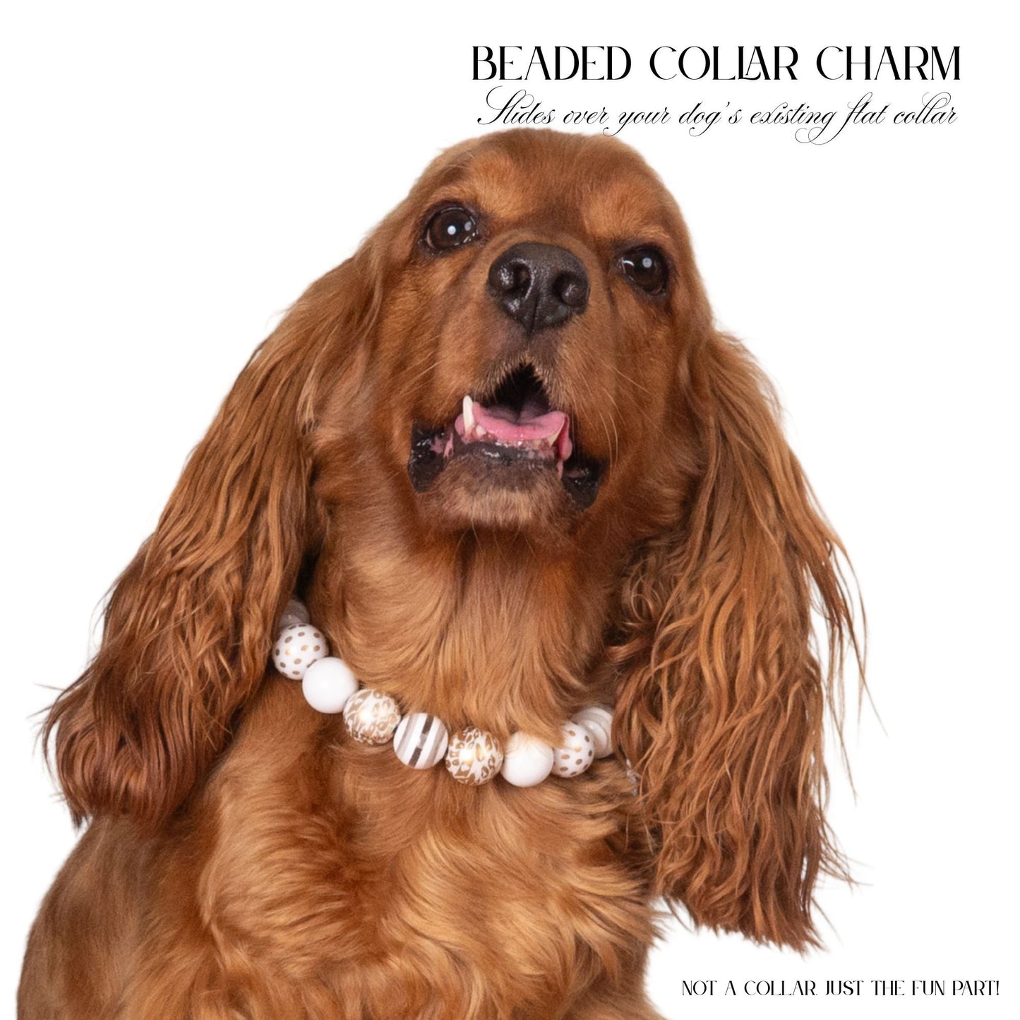 beaded dog necklace New Year’s Gold Charm by Life for Pawz – Handmade for pets