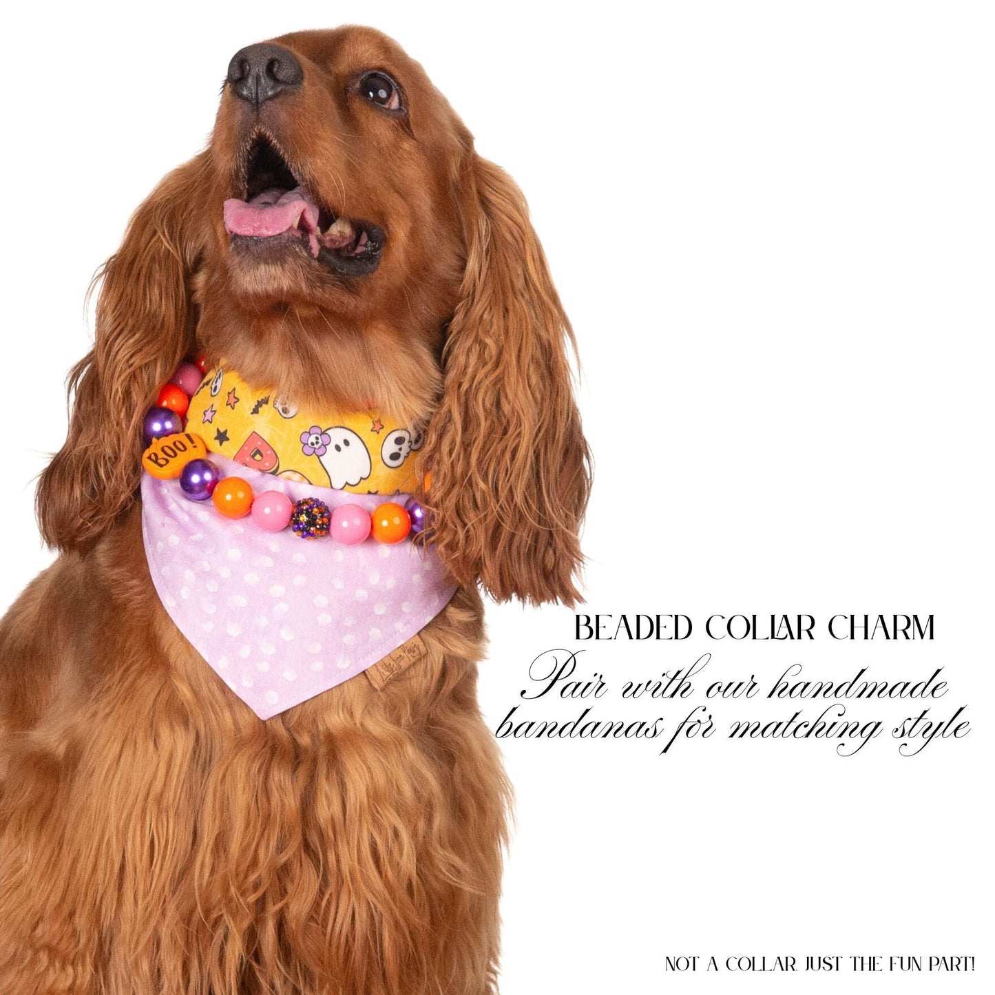 beaded dog necklace Orange & Purple Beads by Life for Pawz – Handmade for pets