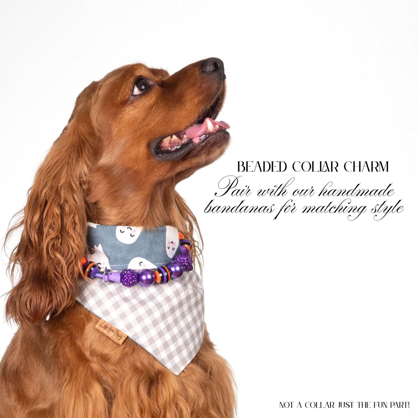 beaded dog necklace Orange & Purple Beads by Life for Pawz – Handmade for pets