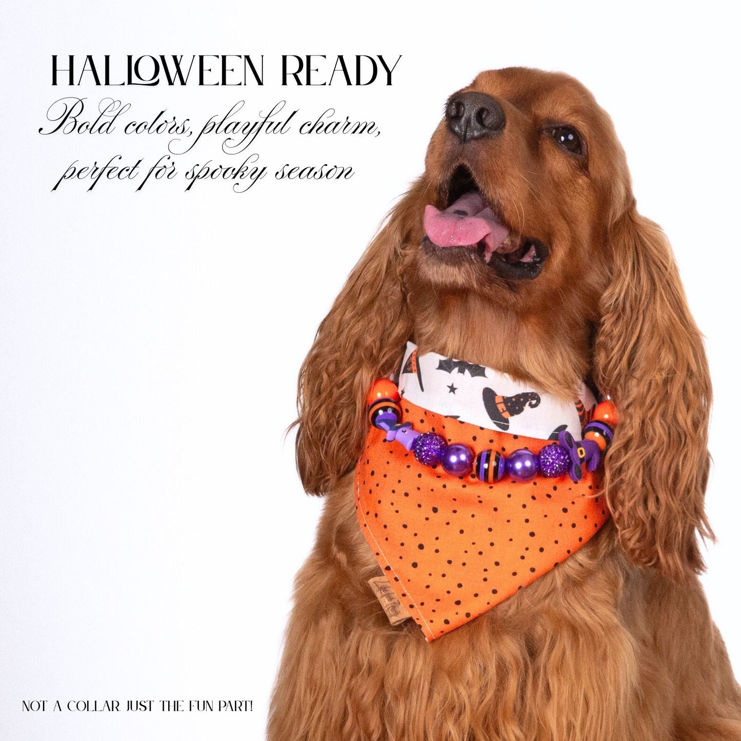 beaded dog necklace Orange & Purple Beads by Life for Pawz – Handmade for pets