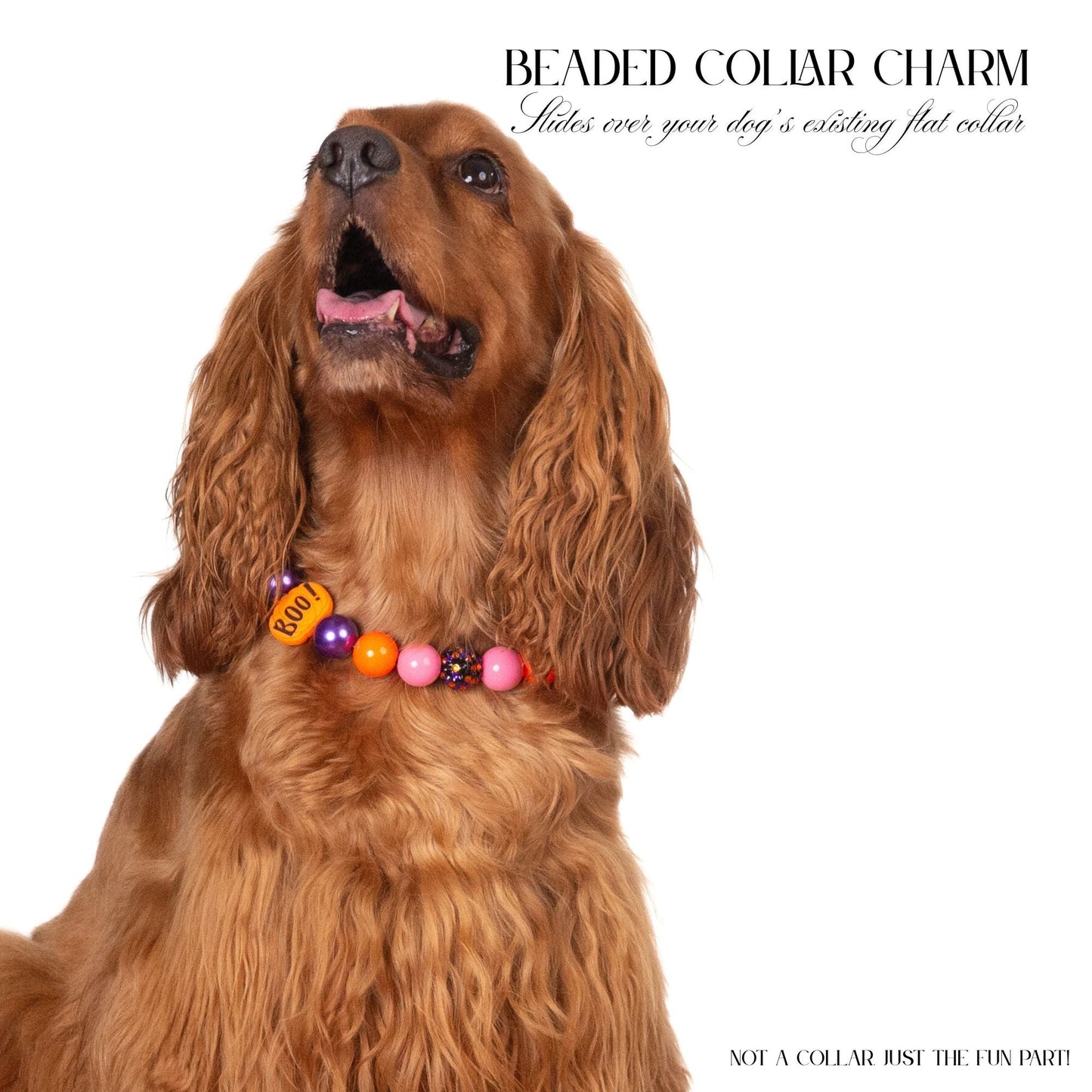 beaded dog necklace Orange & Purple Beads by Life for Pawz – Handmade for pets