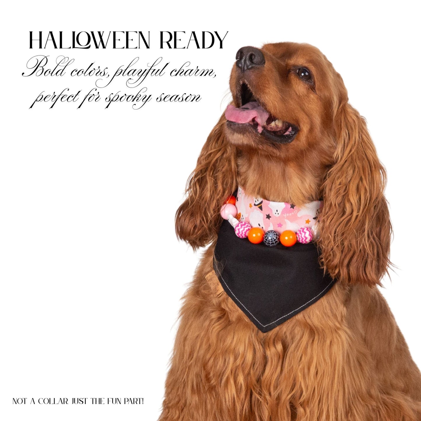 beaded dog necklace Pink & Orange Ghost Charm by Life for Pawz – Handmade for pets