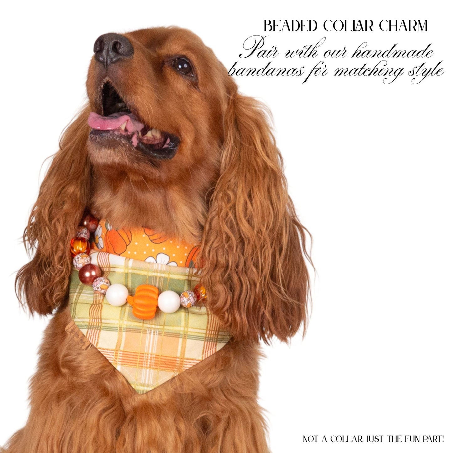 beaded dog necklace Pumpkin Harvest Charm by Life for Pawz – Handmade for pets