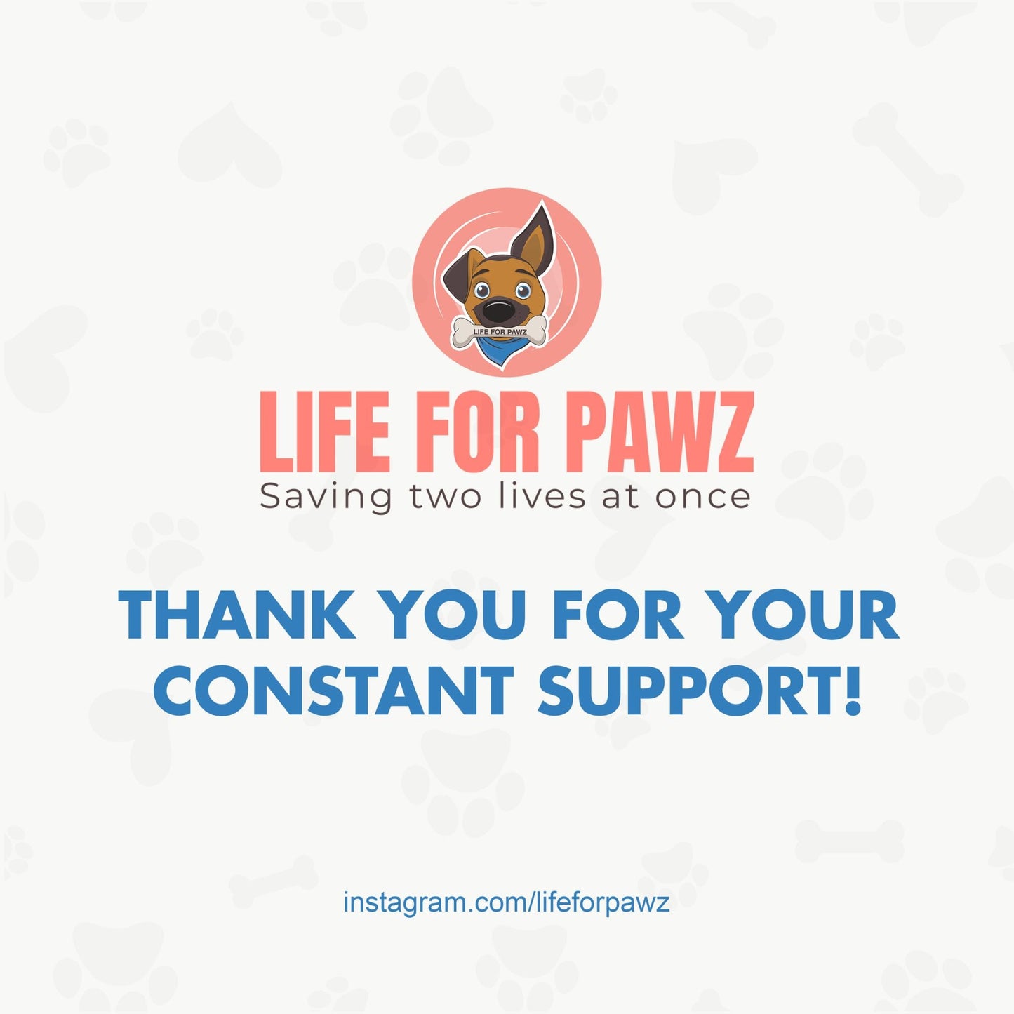 beaded dog necklace Pumpkin Spice Latte Charm by Life for Pawz – Handmade for pets