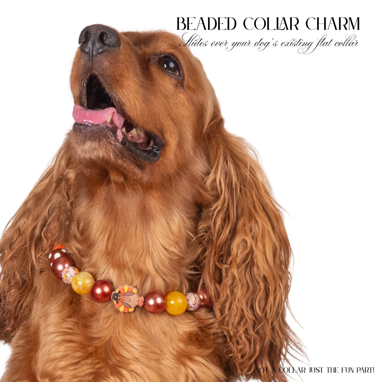 beaded dog necklace Thanksgiving Turkey Charm by Life for Pawz – Handmade for pets