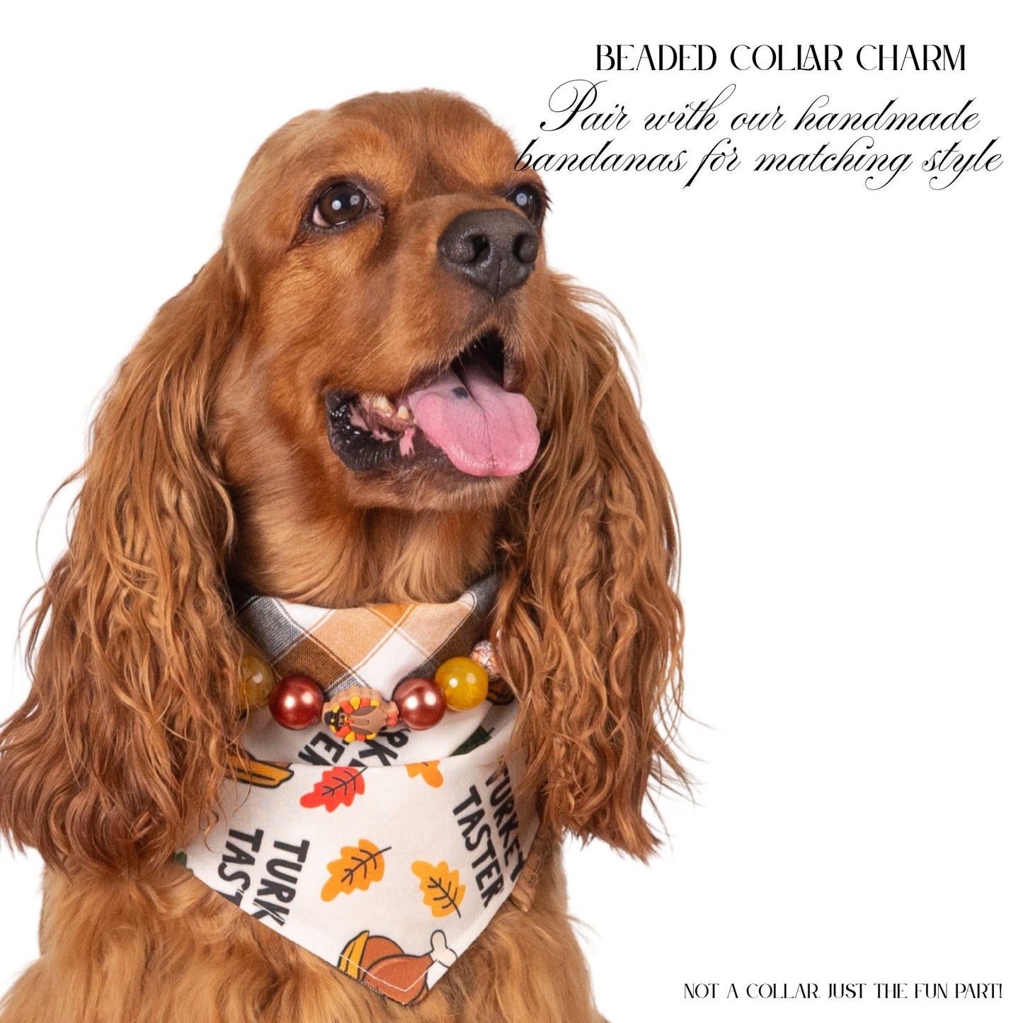 beaded dog necklace Thanksgiving Turkey Charm by Life for Pawz – Handmade for pets