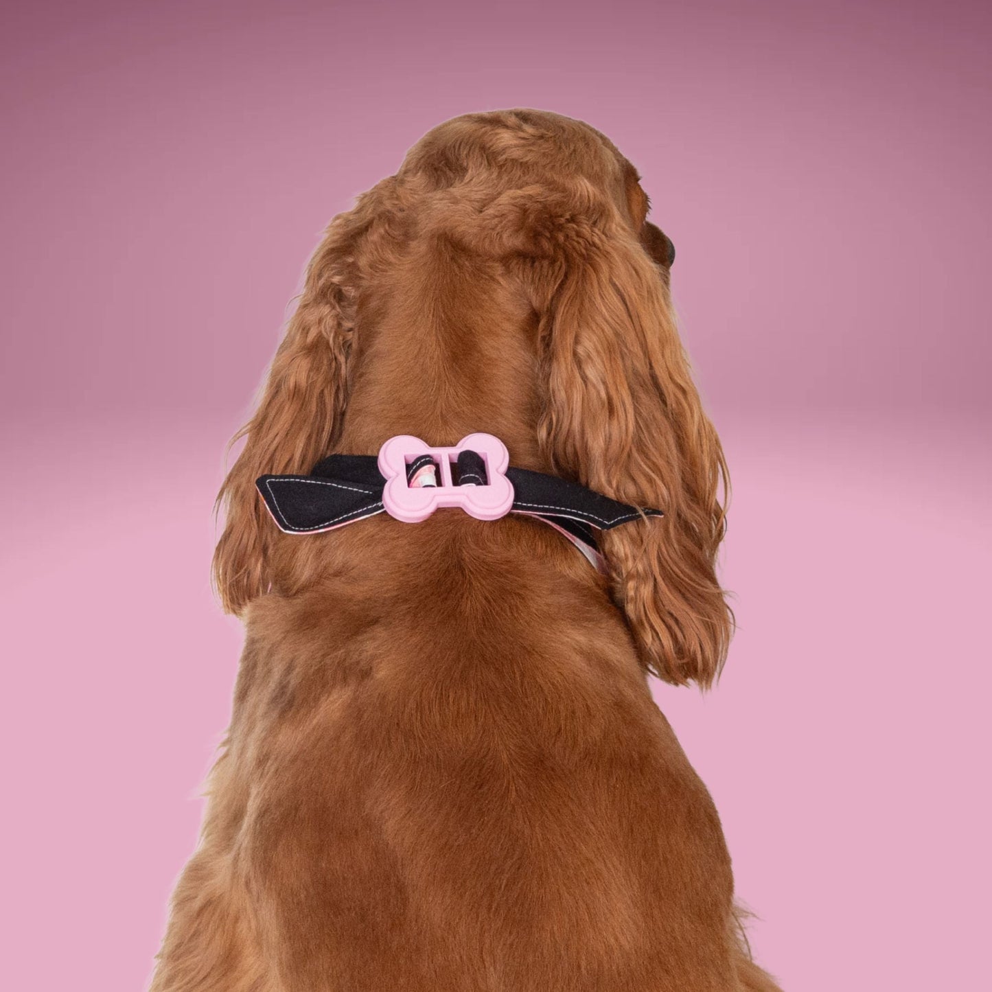 Bone Clasp Boo Crew Pink by Life for Pawz – Handmade for pets