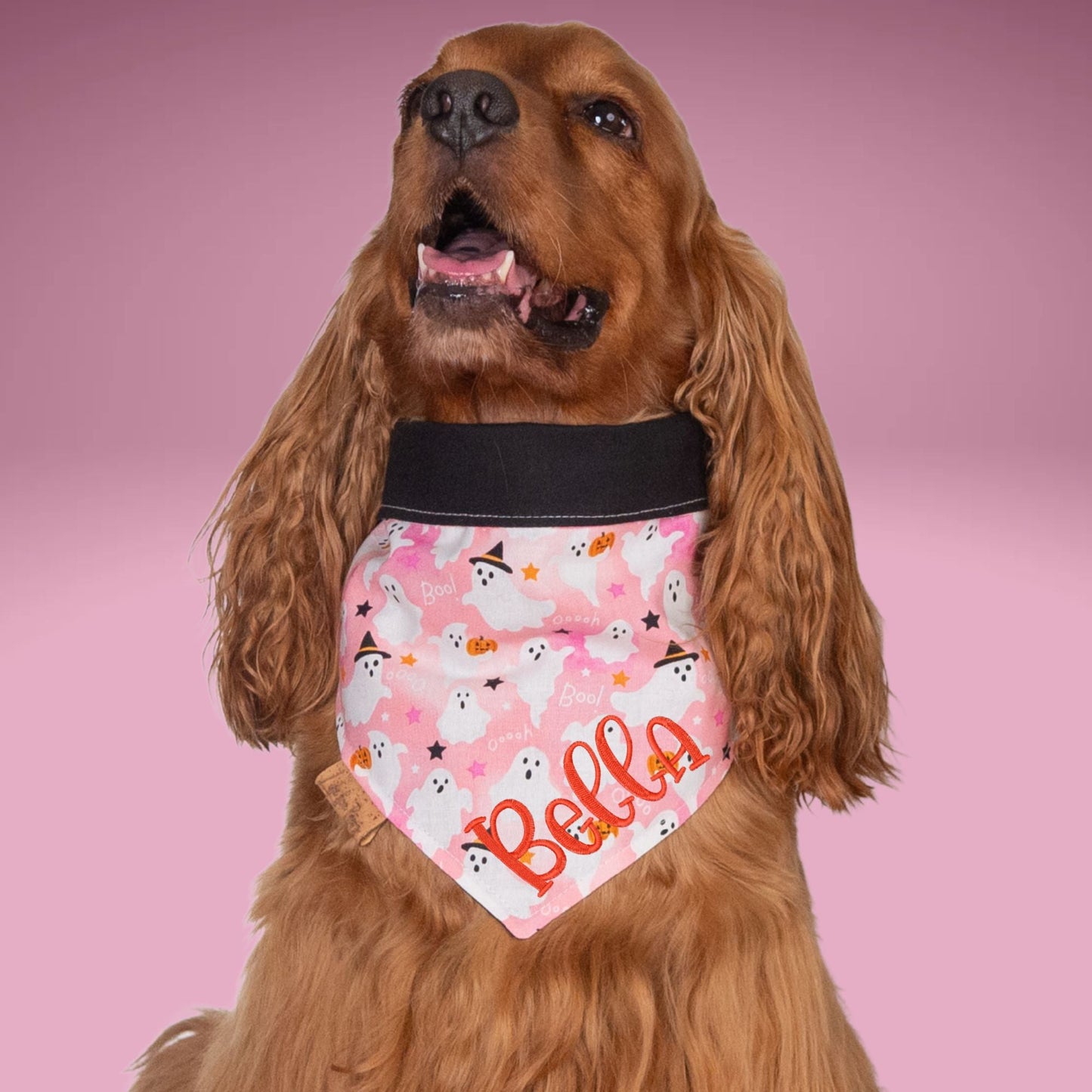 Bone Clasp Boo Crew Pink by Life for Pawz – Handmade for pets