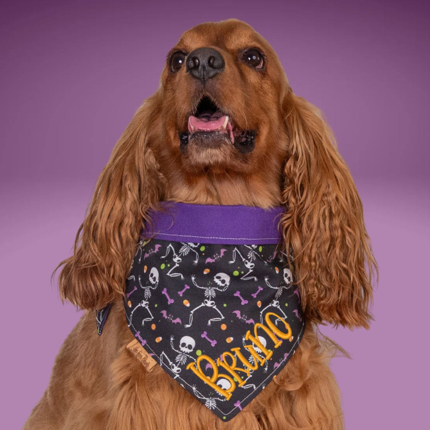 Bone Clasp Dancing Bones by Life for Pawz – Handmade for pets