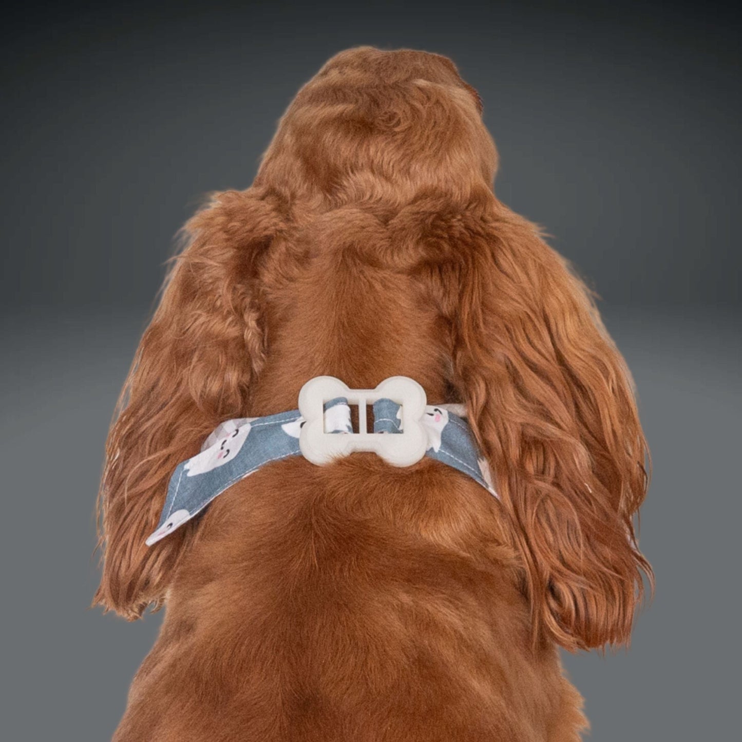 Bone Clasp Sweet Spirits by Life for Pawz ā Handmade for pets