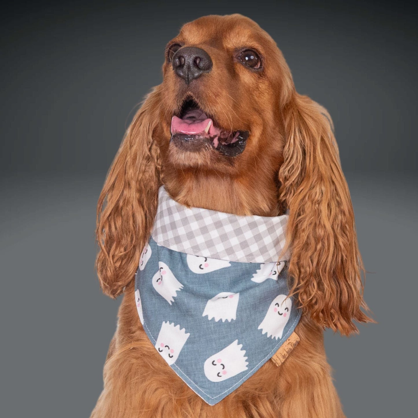 Bone Clasp Sweet Spirits by Life for Pawz ā Handmade for pets