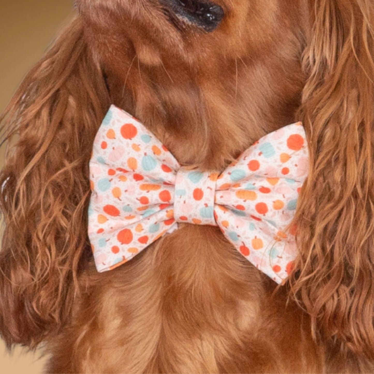 Bowtie Autumn Dots Bowtie by Life for Pawz – Handmade for pets