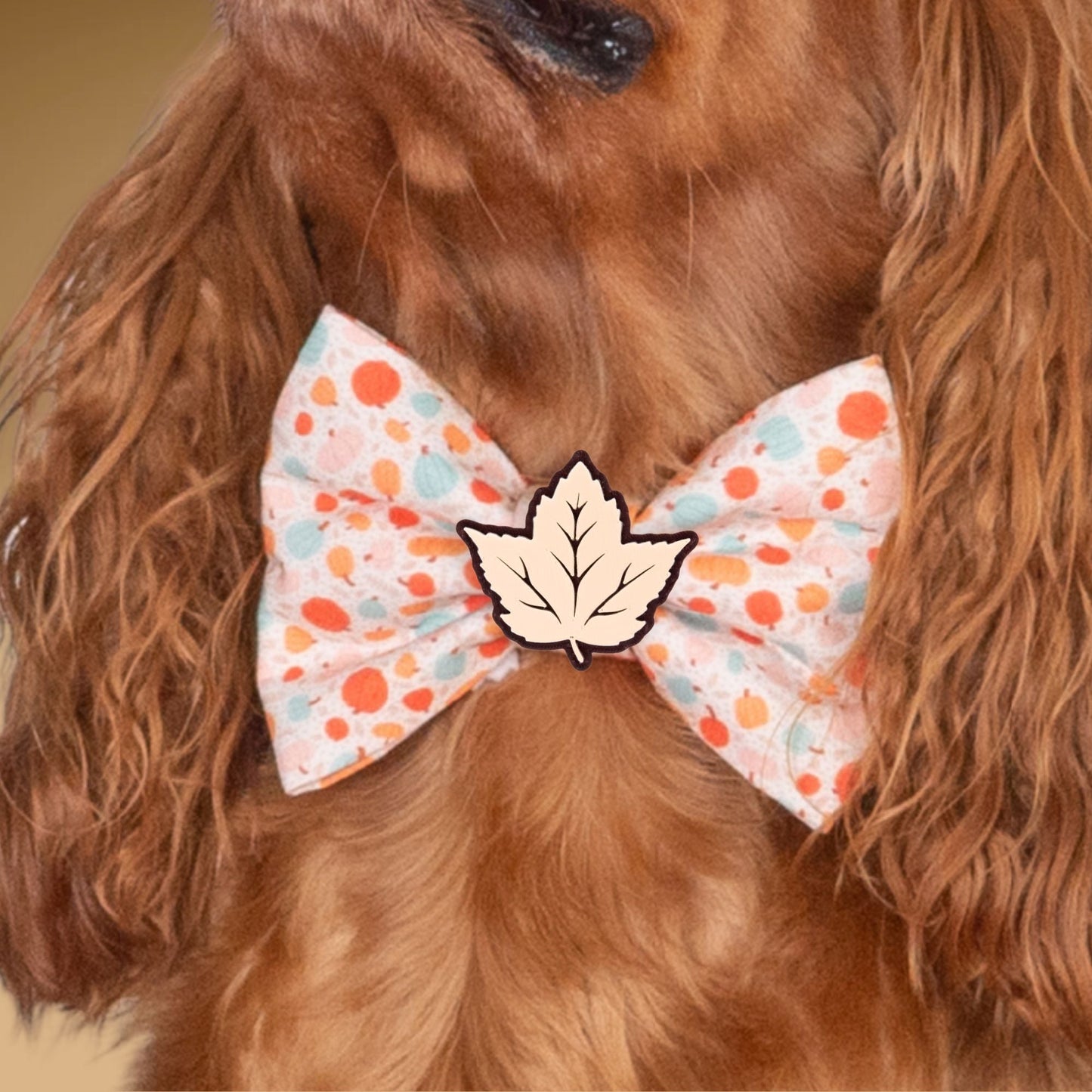 Bowtie Autumn Dots Bowtie by Life for Pawz – Handmade for pets