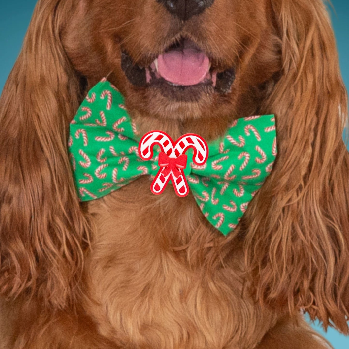 Bowtie Candy Cane Christmas by Life for Pawz – Handmade for pets