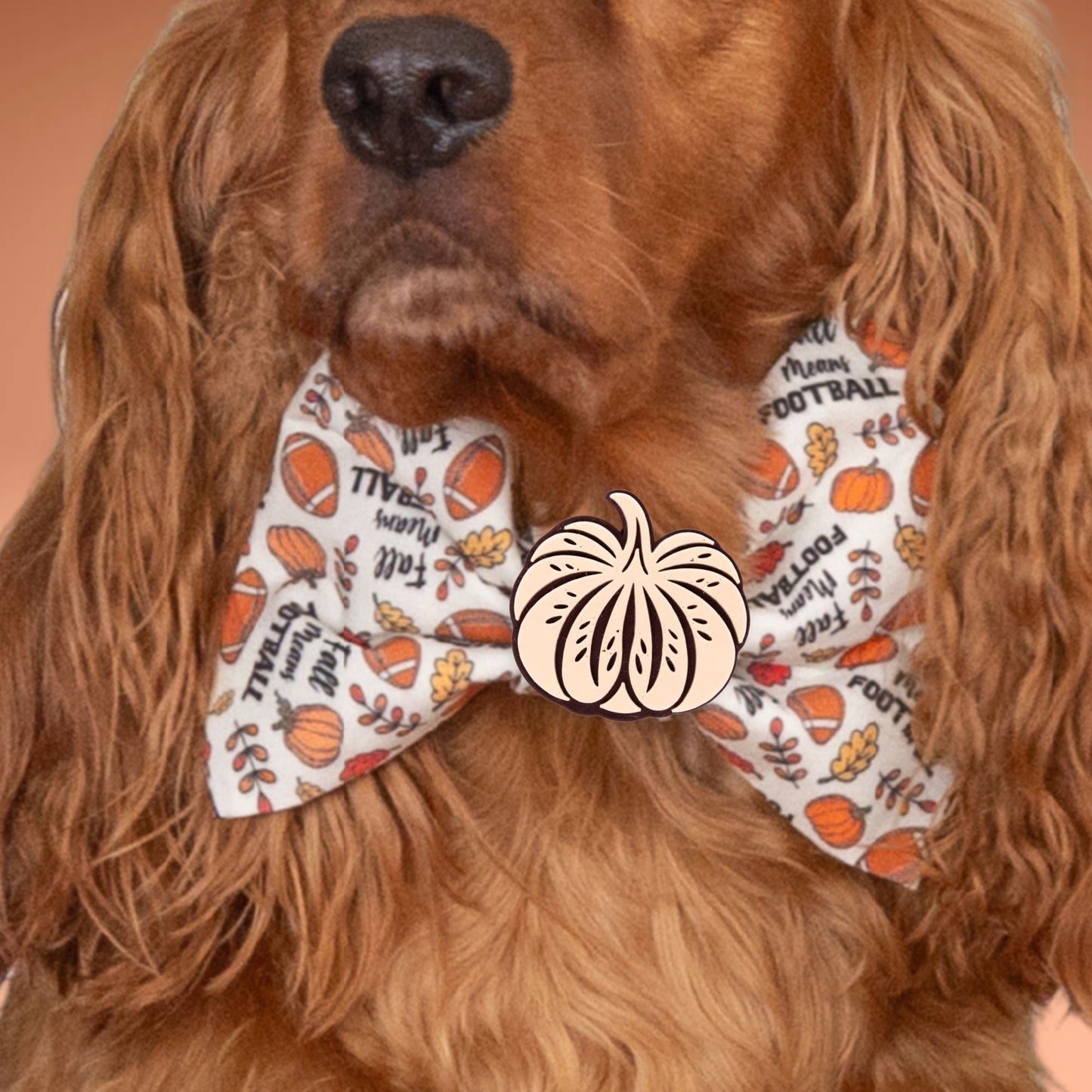 Bowtie Fall Football Text Bowtie by Life for Pawz – Handmade for pets