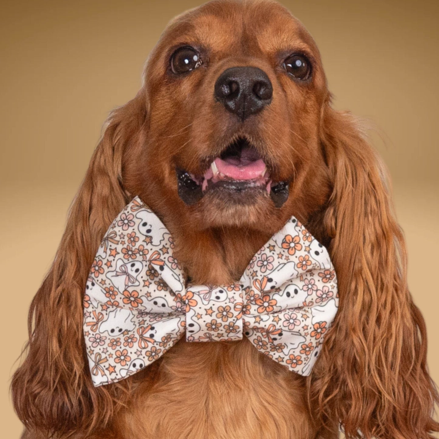 Bowtie Floral Ghost Fall Bowtie by Life for Pawz – Handmade for pets