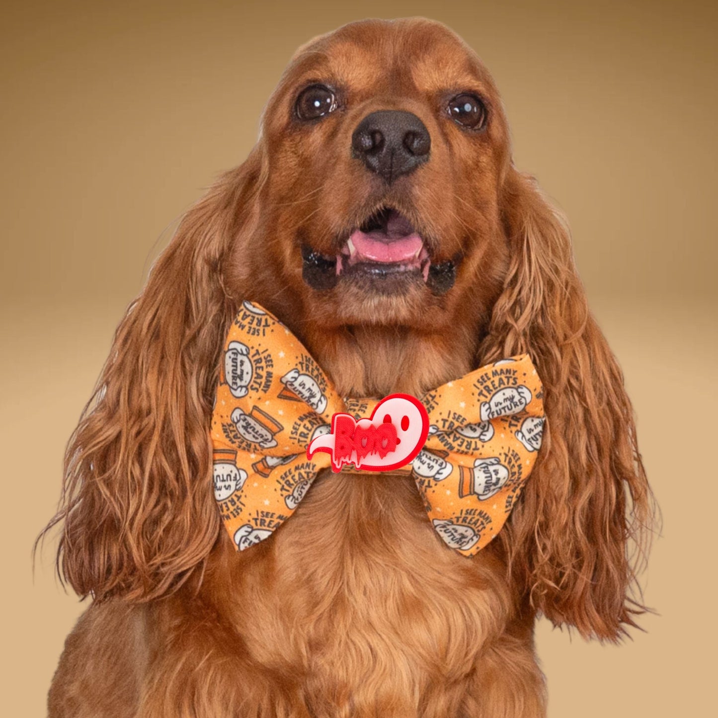 Bowtie Future Treats Bowtie by Life for Pawz – Handmade for pets