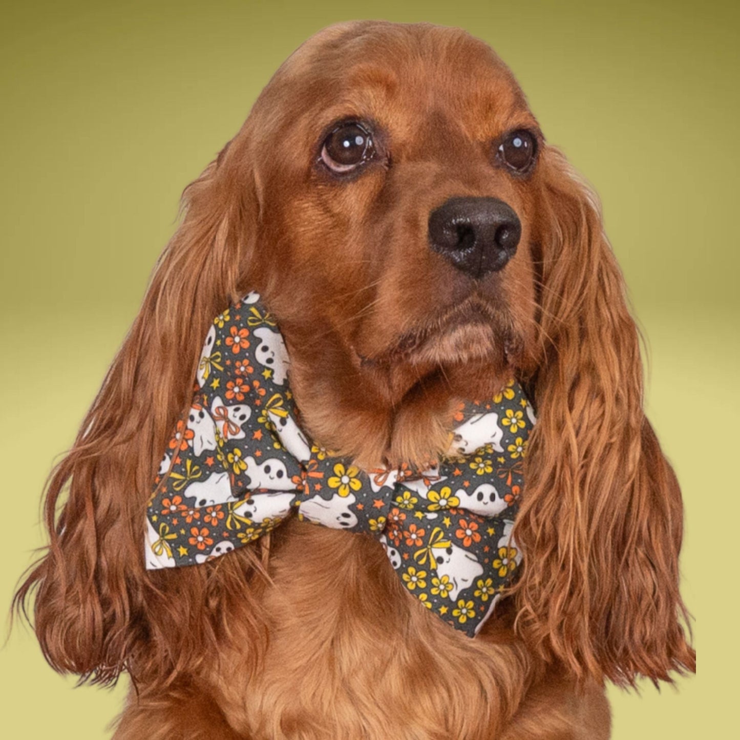 Bowtie Glow - in - the - Dark Ghost Bowtie by Life for Pawz – Handmade for pets