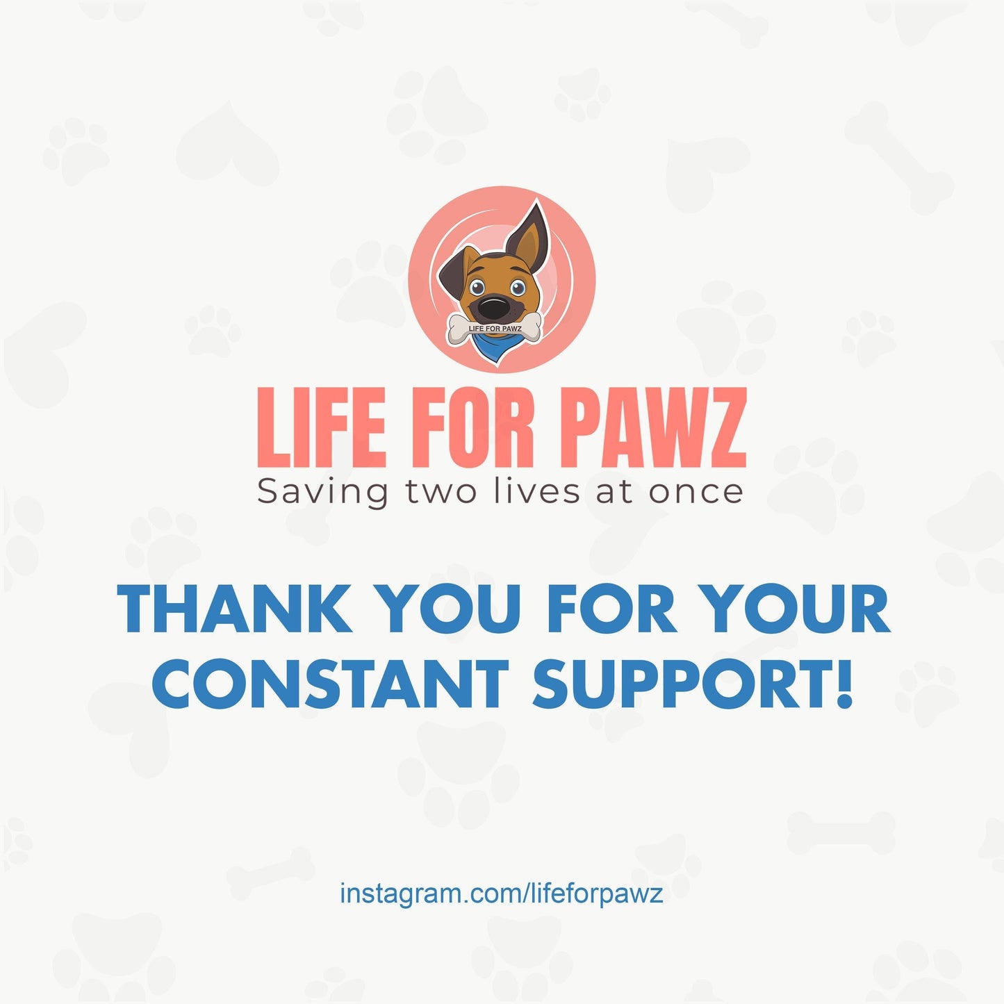 Bowtie Green Velvet Dog Bow Tie by Life for Pawz – Handmade for pets