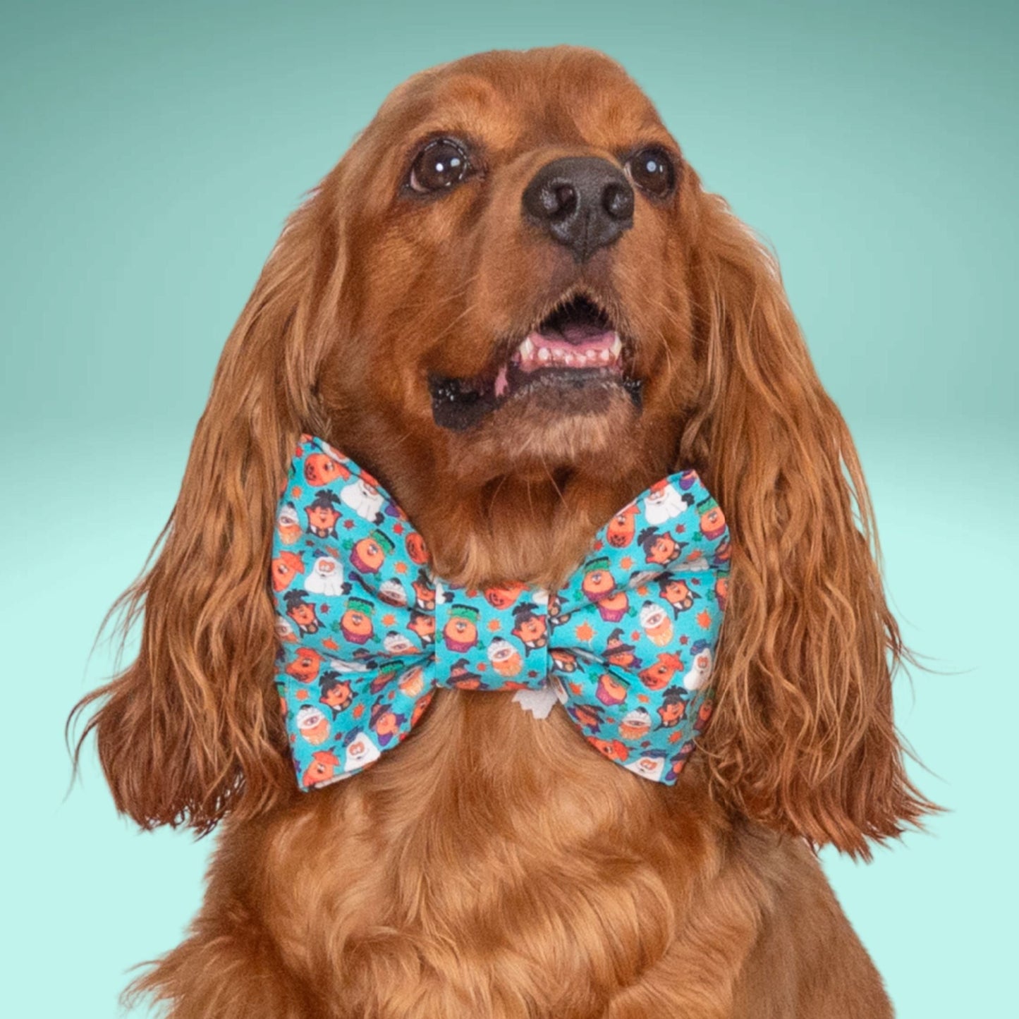 Bowtie Halloween Faces Bowtie by Life for Pawz – Handmade for pets