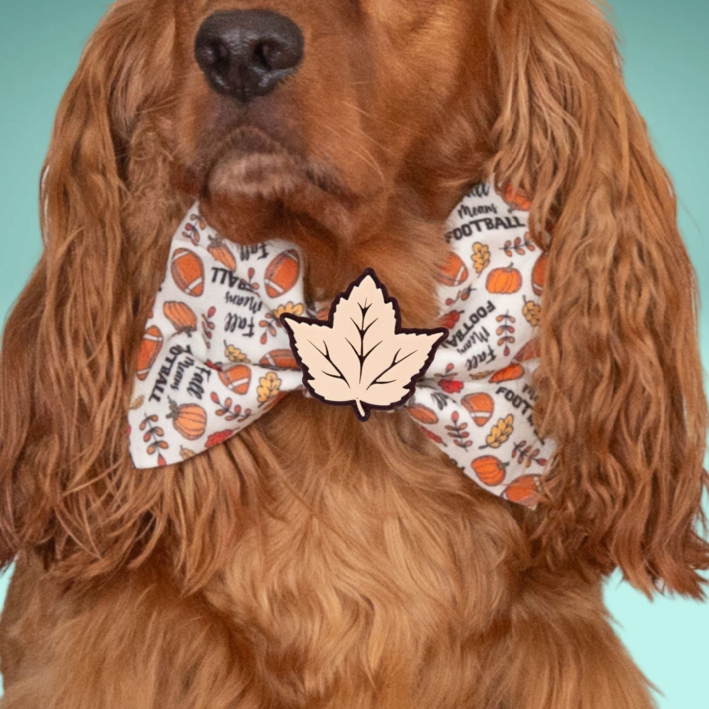 Bowtie Leg Day Bowtie by Life for Pawz – Handmade for pets