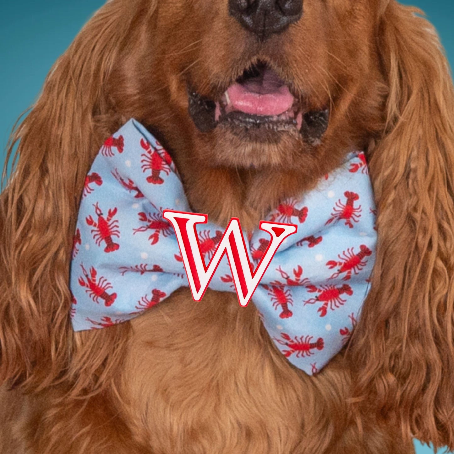 Bowtie Lobster Oversized Bow with Initial by Life for Pawz – Handmade for pets