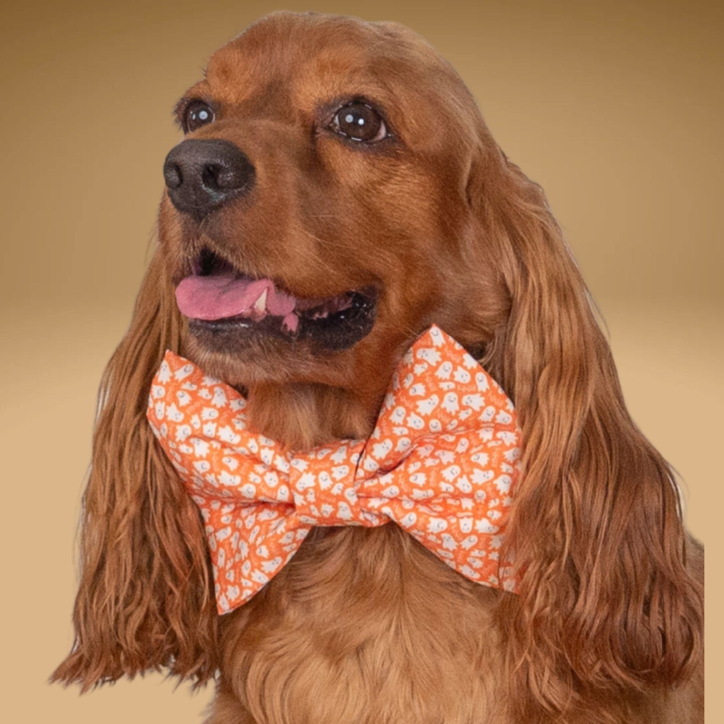 Bowtie Mini Ghost Orange Bowtie by Life for Pawz – Handmade for pets