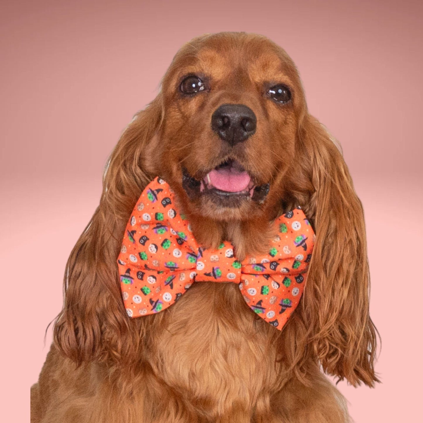 Bowtie Spooky Icons Bowtie by Life for Pawz – Handmade for pets