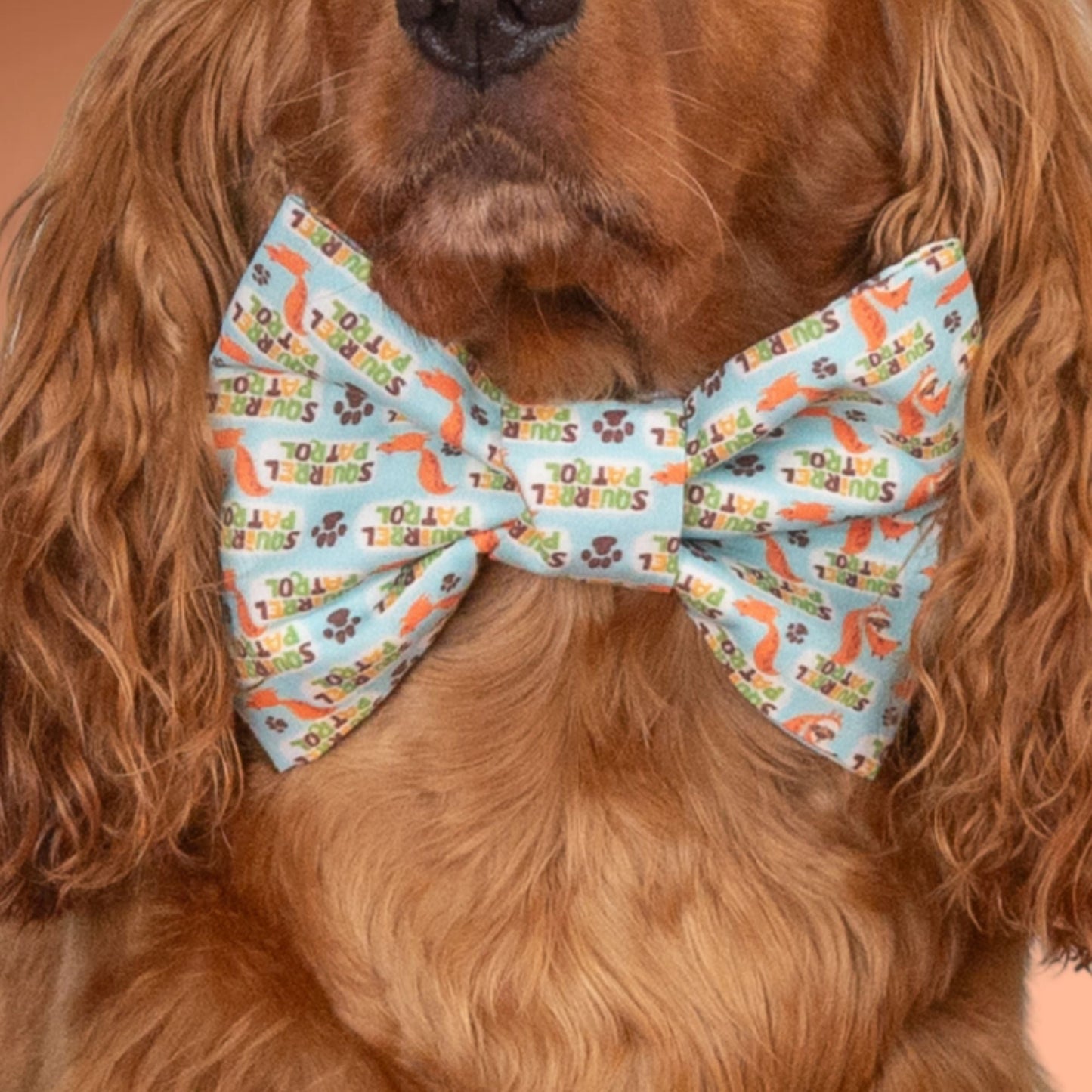 Bowtie Squirrel Patrol Bowtie by Life for Pawz – Handmade for pets