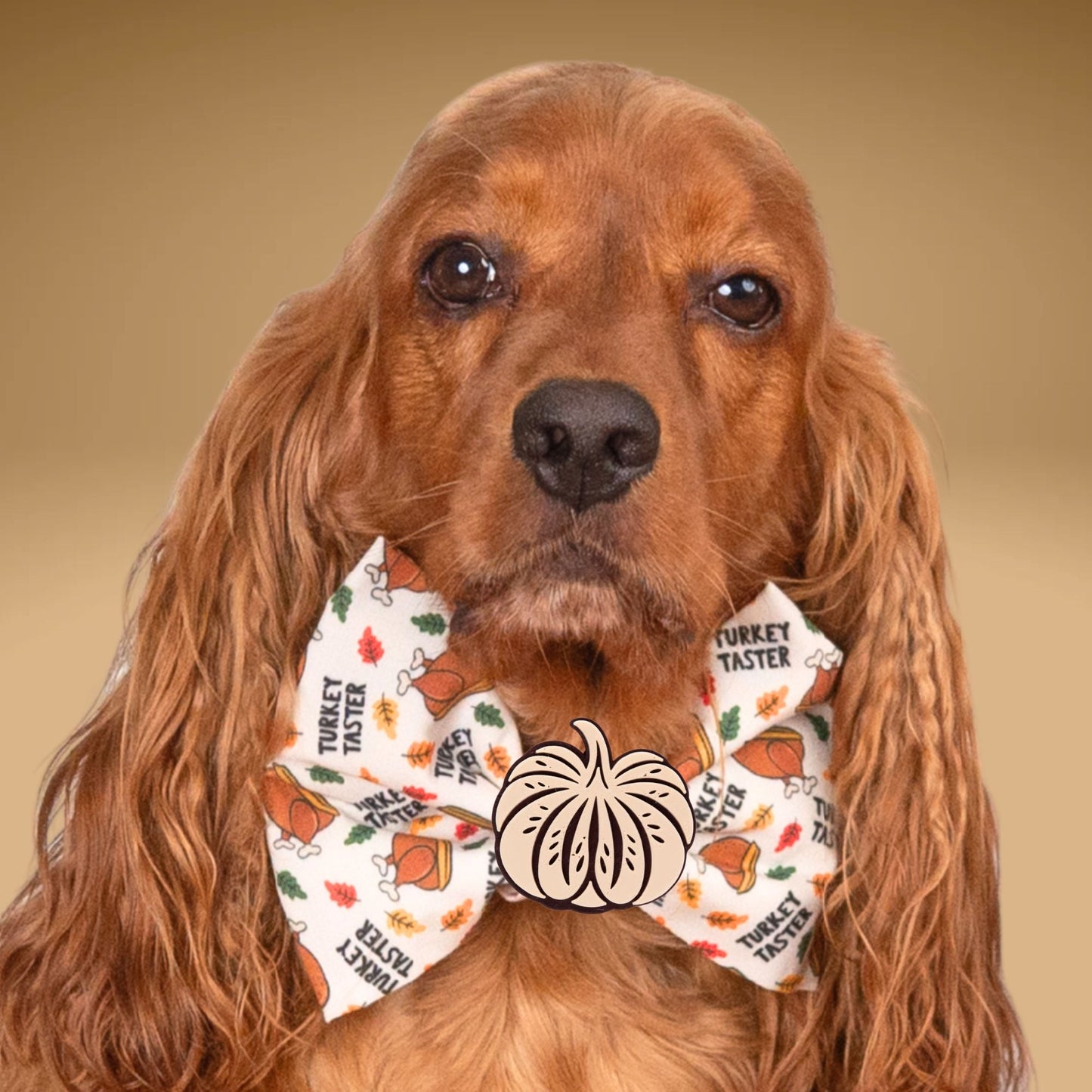 Bowtie Turkey Taster Bowtie by Life for Pawz – Handmade for pets