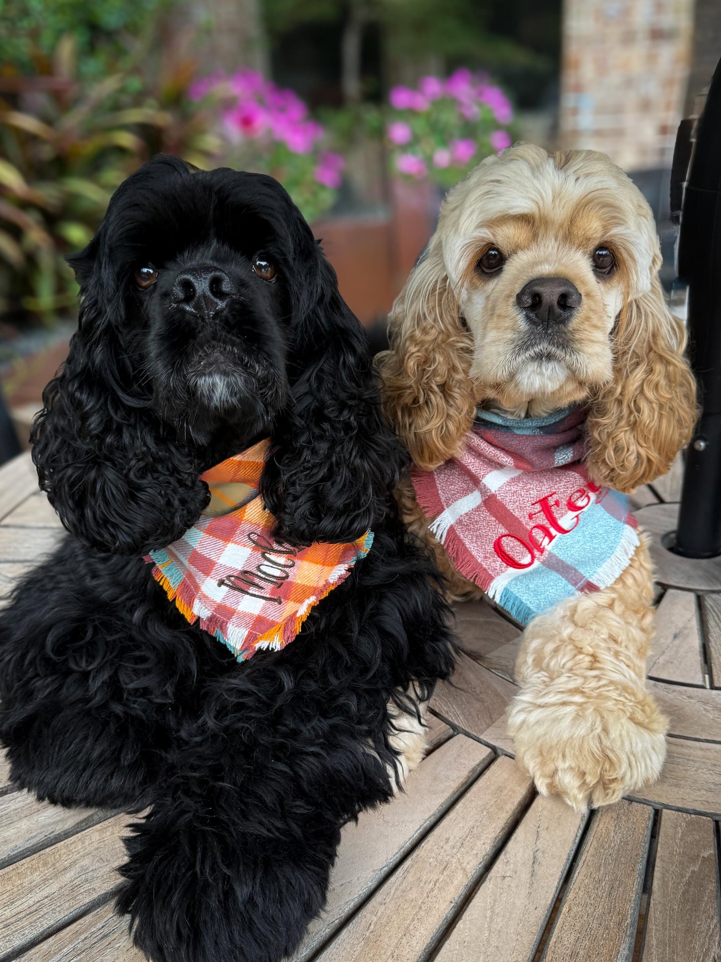 Flannel Bandanas Fall Plaid by Life for Pawz – Handmade for pets