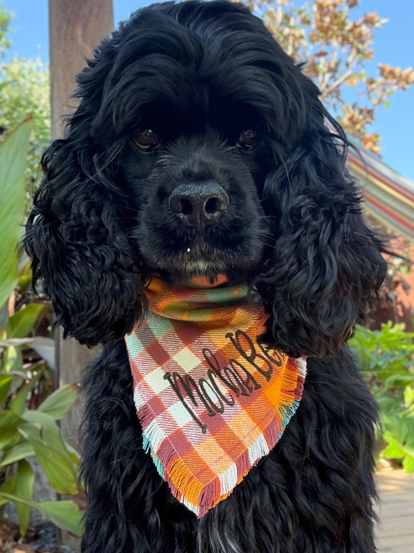 Flannel Bandanas Fall Plaid by Life for Pawz – Handmade for pets