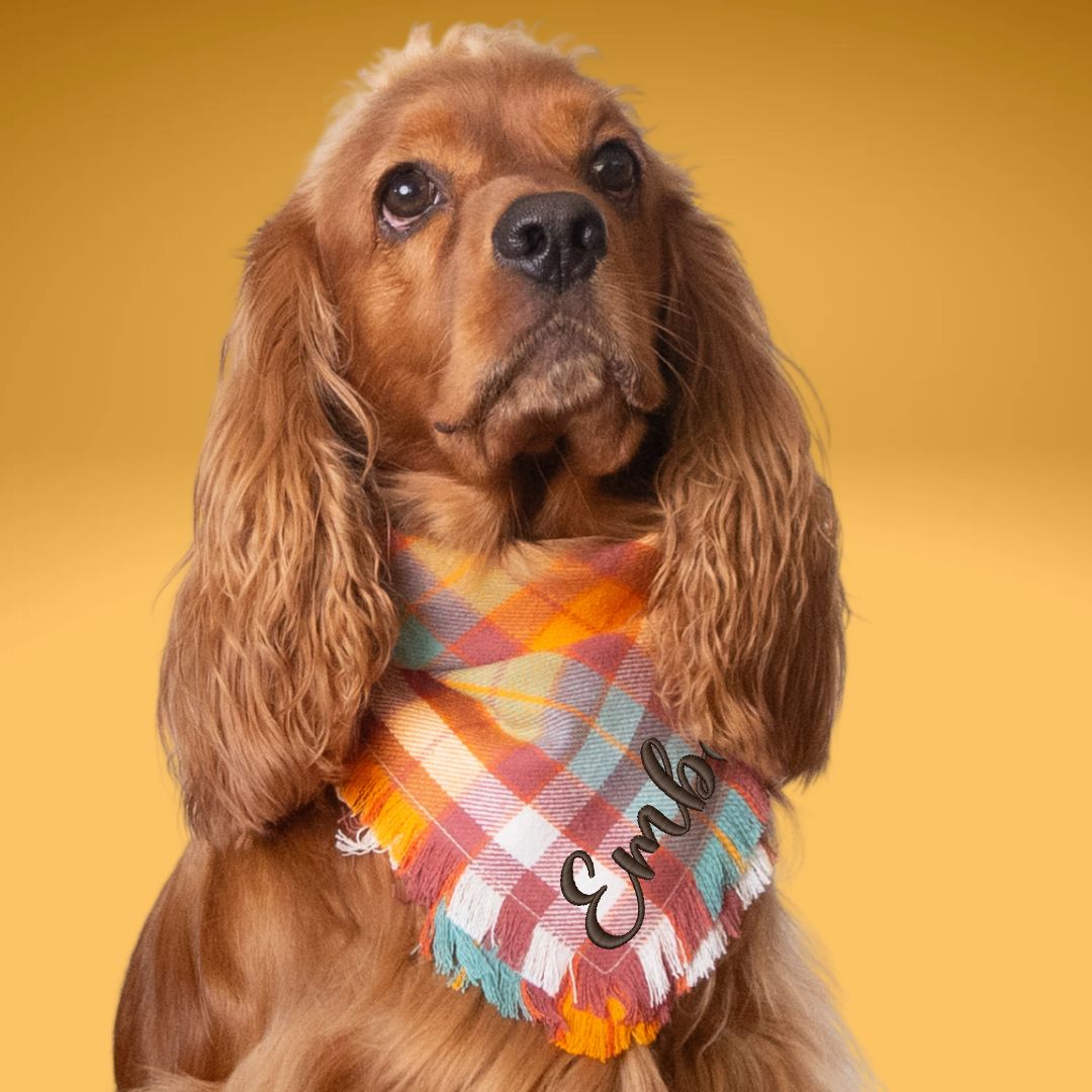 Flannel Bandanas Fall Plaid by Life for Pawz – Handmade for pets