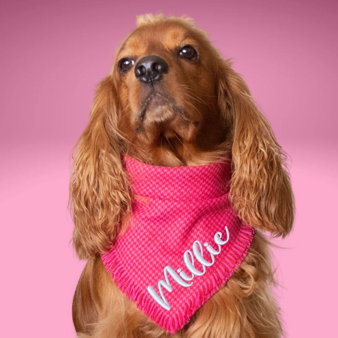 Flannel Bandanas Hot Pink Houndstooth by Life for Pawz – Handmade for pets