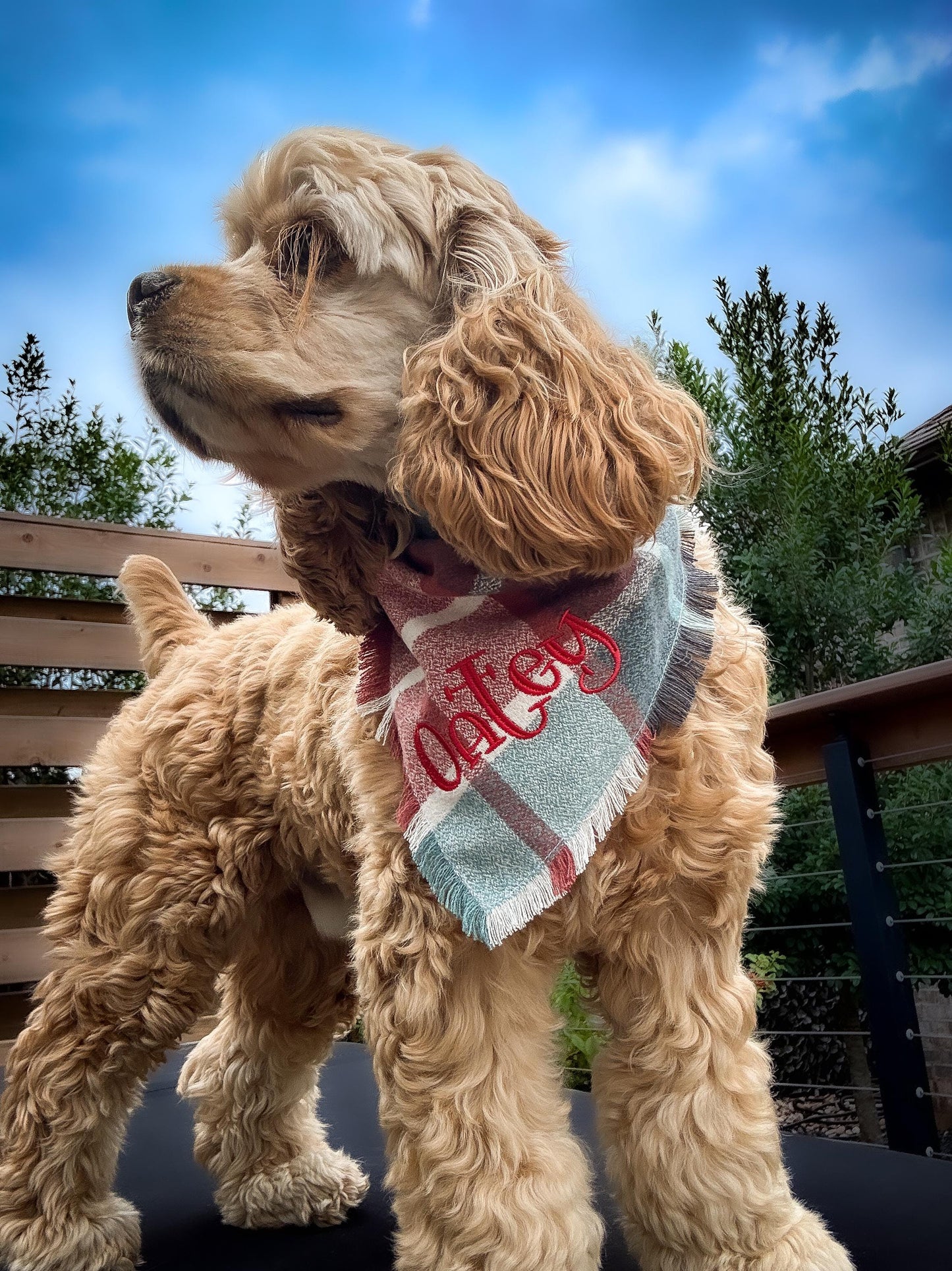 Flannel Bandanas Teal & Rust Plaid by Life for Pawz – Handmade for pets