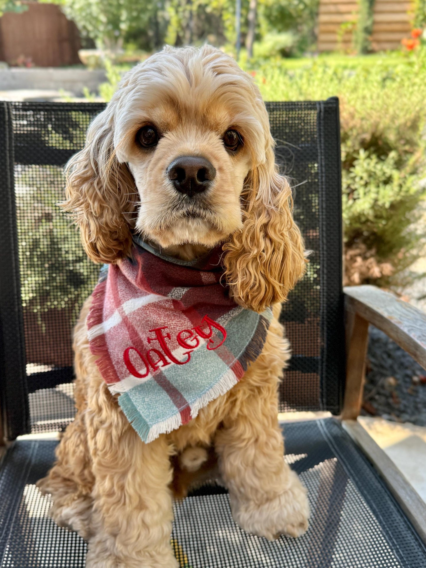 Flannel Bandanas Teal & Rust Plaid by Life for Pawz – Handmade for pets