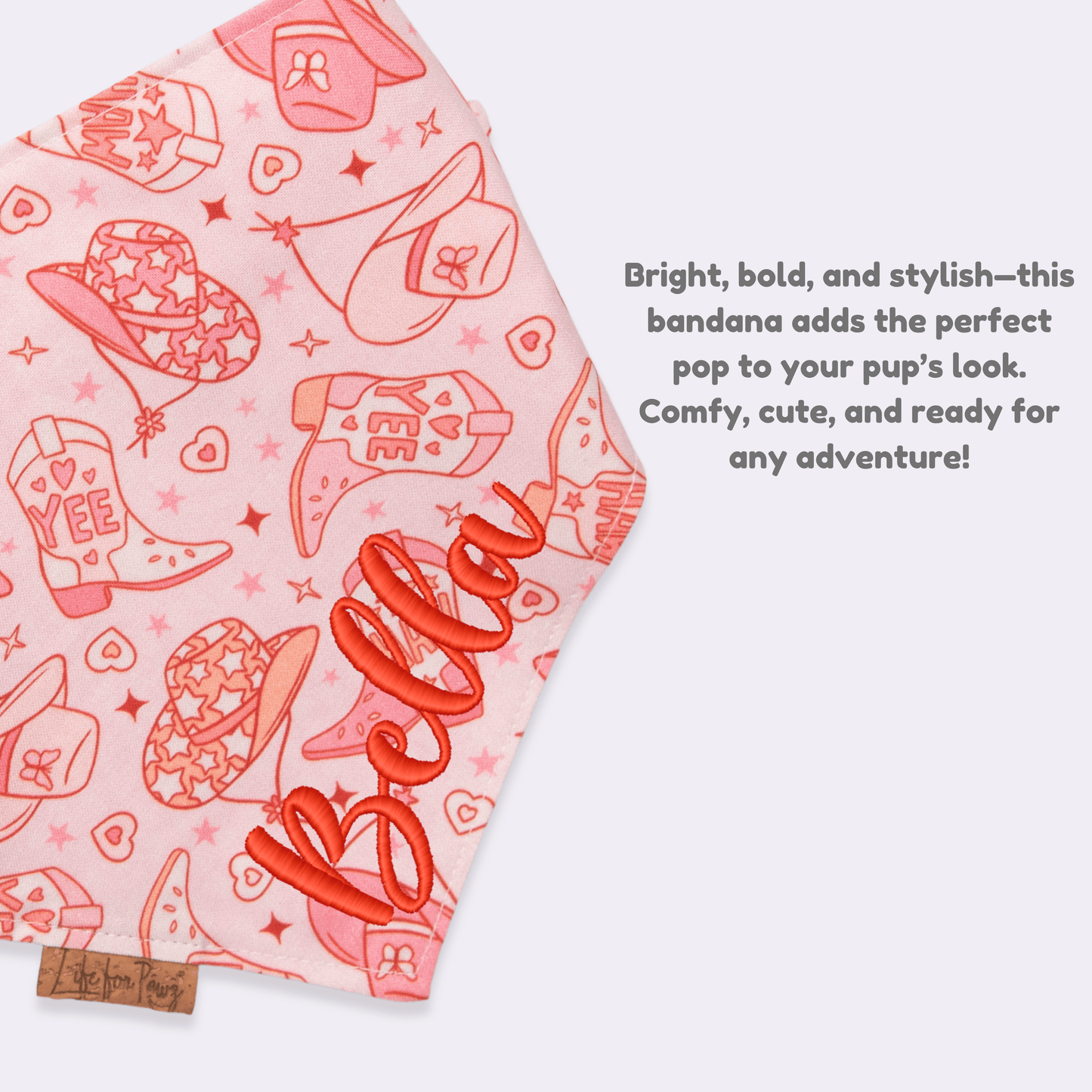 Dog bandana Pink Cowgirl & Gingham Personalized Reversible Dog Bandana - Life for Pawz - Bone Clasp