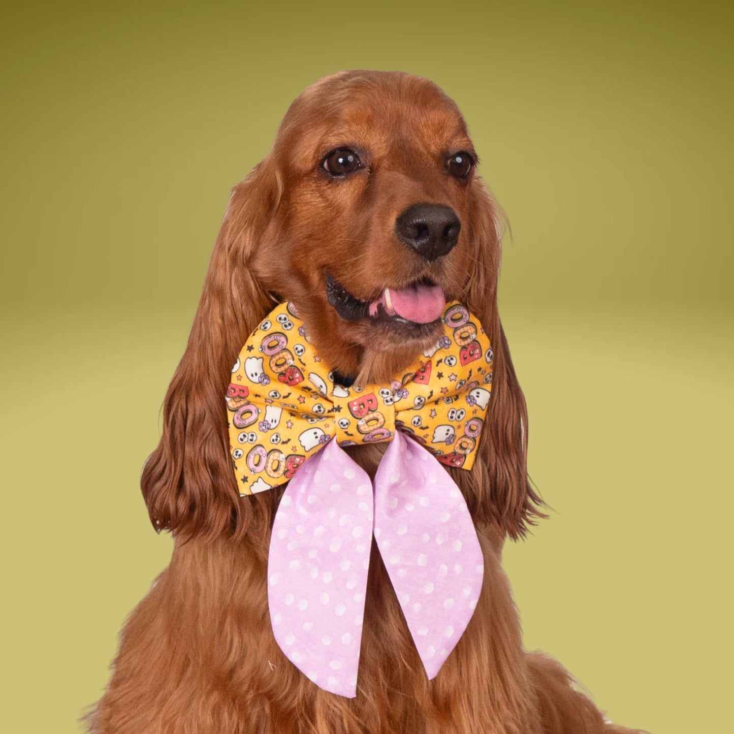 Sailor Bow Boo Donuts Sailor Bow by Life for Pawz – Handmade for pets