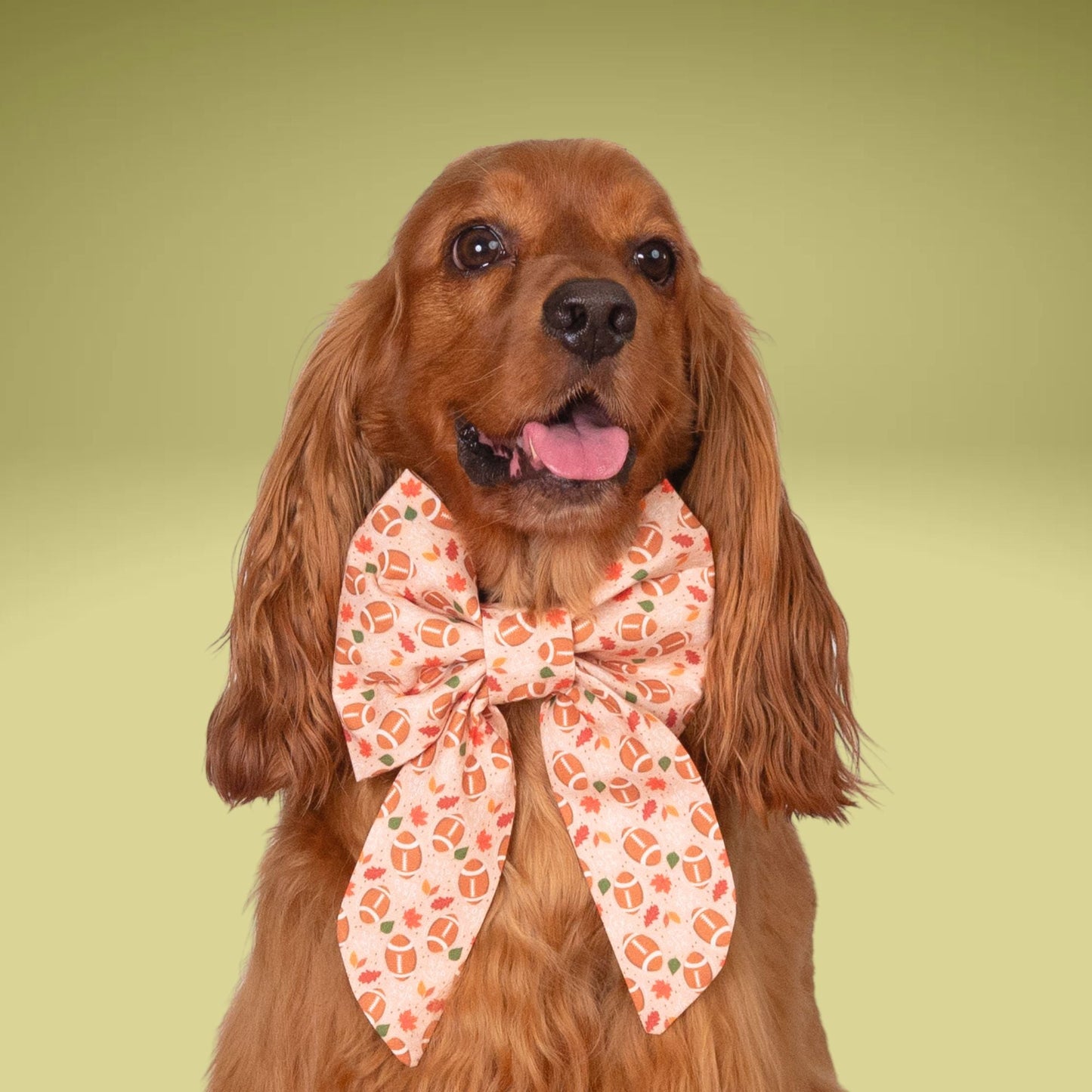 Sailor Bow Fall Football Sailor Bow by Life for Pawz – Handmade for pets